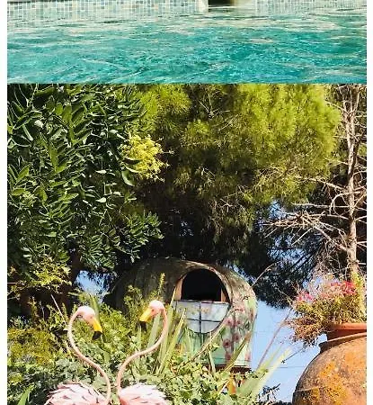 Nuit Insolite Dağ evi *